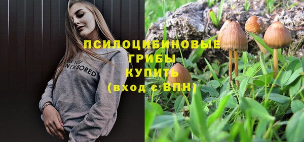 a pvp Алексеевка