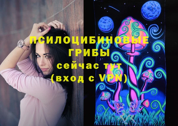 спиды Алексин